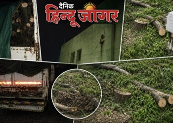 झाडांवर खुलेआम कुऱ्हाड; बीएसएनएल अधिकारी अनभिज्ञ, वनविभागही मूकदर्शक – सेलूत नेमका झाडतोड खेळ कुणाचा? परवानगी होती तरी कुठे? तोडलेले लाकूड गेले कुठे? चौकशीच्या फेऱ्यात बीएसएनएल-वनविभागाच्या भूमिकेवर गंभीर प्रश्न